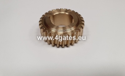 MOTORLINE PROFESSIONAL JAG 400/600, LINCE 300/400/600 Gear unit bronze gear.